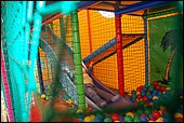 038.jpg