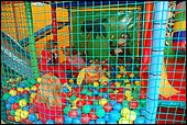 040.jpg