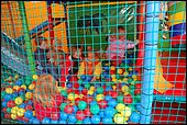 041.jpg