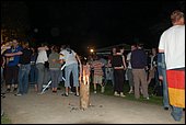 017.jpg