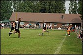 033.jpg