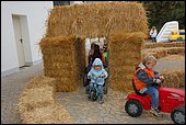 DSC_0012.JPG