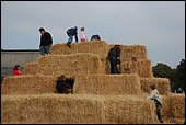 DSC_0016.JPG