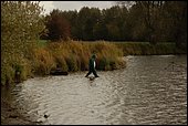 023.jpg